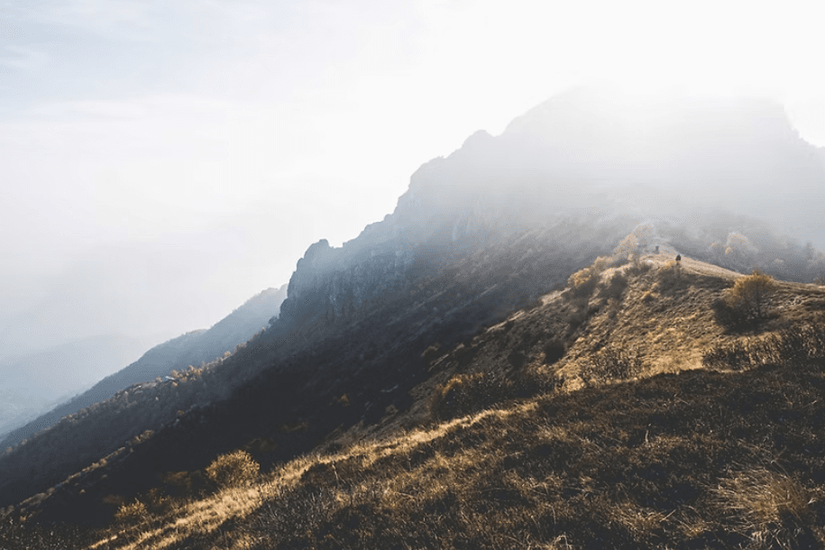 همین دم زنده ام